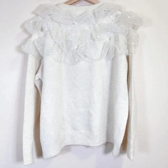 Zara Sequin Ruffle Crew Neck Oversized Sweater - Picture 13 of 13